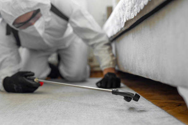 Professional Bed Bug Control technician working in Camp Hill, AL