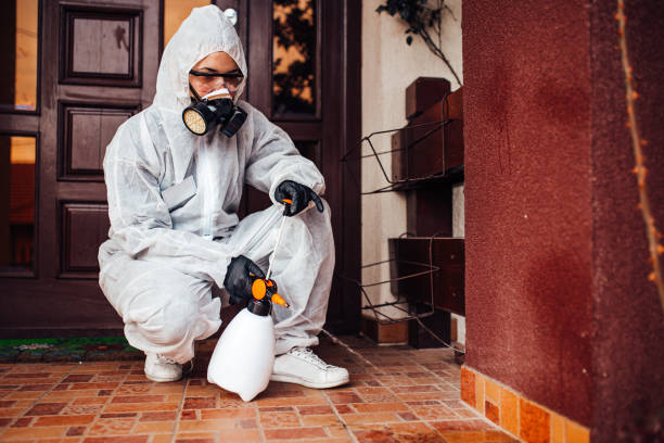 Reliable Bed Bug Control contractor in Camp Hill, AL by Nex Pest Control