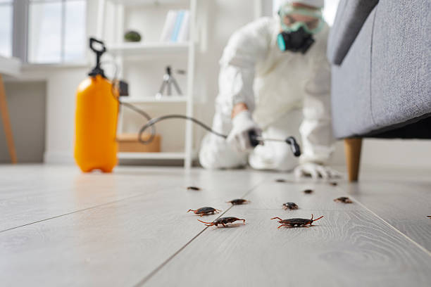 Trusted Termite Control service in Camp Hill, AL - Nex Pest Control