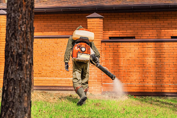 Trusted Cockroach Control service in Camp Hill, AL - Nex Pest Control